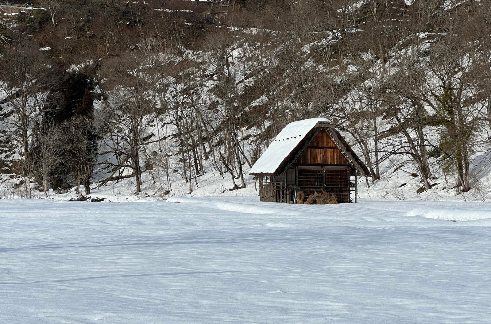 La cabaña solitaria