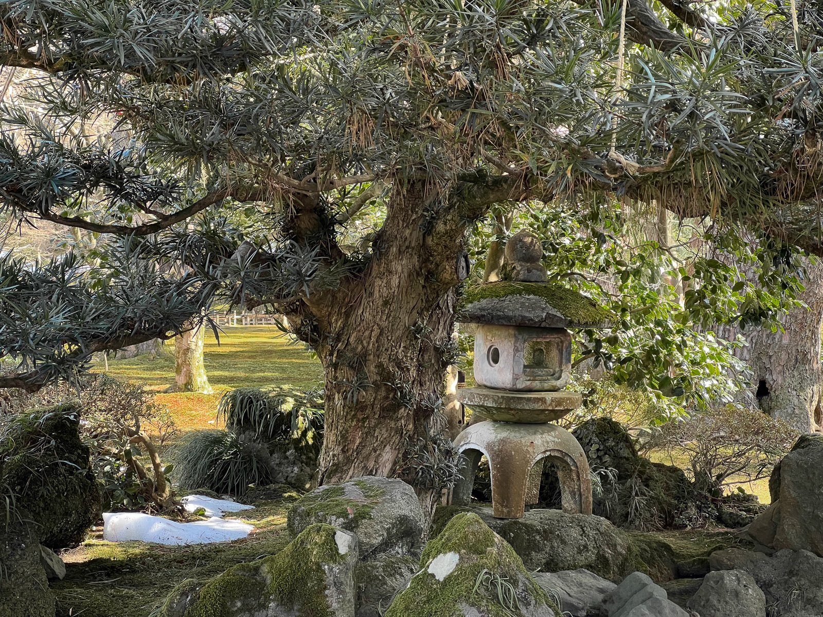 Así nos recibió el parque