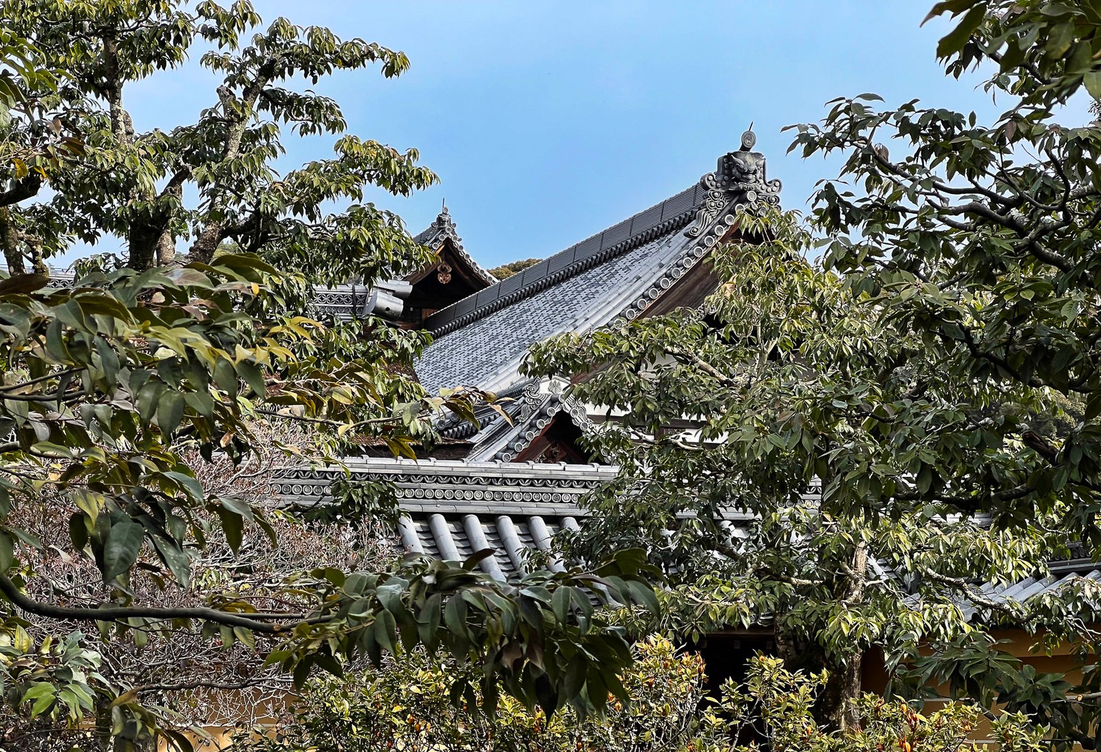 Los tejados de Ryoan-ji