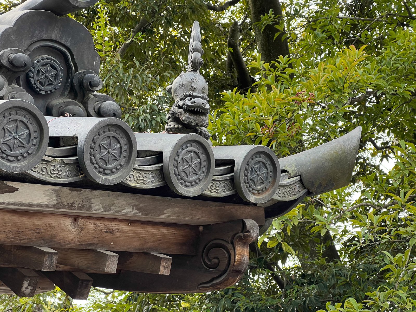 El guardián del tejado